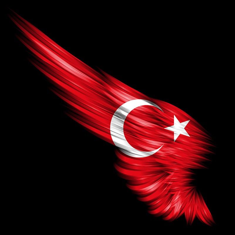 turk-bayragi-resimleri-twitter